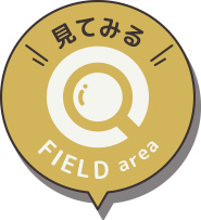 field