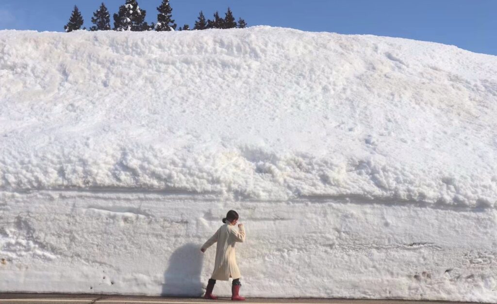 移住して初めての本格的な冬が数年ぶりの大雪。4ｍ近い雪の壁ができた。